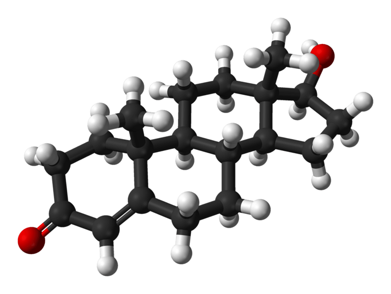 Testosterone │ Image Source: wikipedia.org