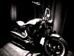 Devon Larratt wins the Victory Motorcycle at WAL Las Vegas