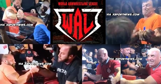 WAL 2017 CHAMPIONSHIP FINALS RESULTS │ Collage made by XSportNews using images from the videos